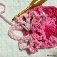 Flor cravo passo a passo - www.croche.com (20)