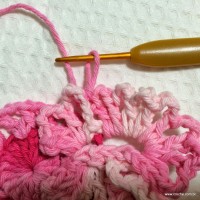 Flor cravo passo a passo - www.croche.com (29)