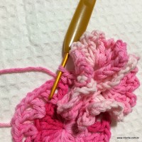 Flor cravo passo a passo - www.croche.com (32)