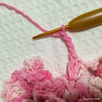 Flor cravo passo a passo - www.croche.com (37)