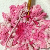 Flor cravo passo a passo - www.croche.com (41)