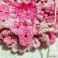 Flor cravo passo a passo - www.croche.com (42)