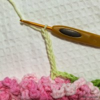 Flor cravo passo a passo - www.croche.com (43)