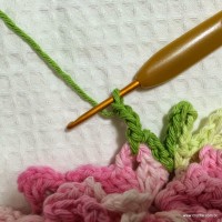 Flor cravo passo a passo - www.croche.com (45)