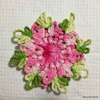 Flor cravo passo a passo - www.croche.com (46)