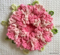 Flor cravo passo a passo - www.croche.com (54)