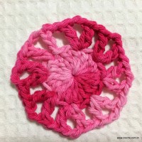 Flor cravo passo a passo - www.croche.com (7)