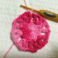 Flor cravo passo a passo - www.croche.com (8)