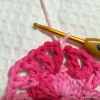 Flor cravo passo a passo - www.croche.com (9)