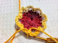 Flor de laranjeira passo a passo - www.croche.com (10)