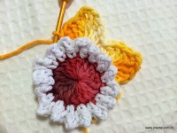 Flor de laranjeira passo a passo - www.croche.com (15)