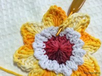 Flor de laranjeira passo a passo - www.croche.com (17)