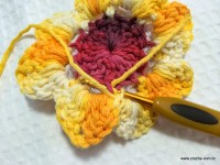Flor de laranjeira passo a passo - www.croche.com (18)