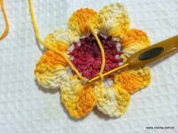 Flor de laranjeira passo a passo - www.croche.com (19)