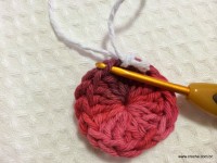 Flor de laranjeira passo a passo - www.croche.com (2)