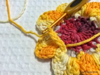 Flor de laranjeira passo a passo - www.croche.com (20)