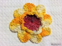 Flor de laranjeira passo a passo - www.croche.com (22)