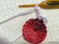 Flor de laranjeira passo a passo - www.croche.com (4)
