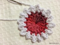 Flor de laranjeira passo a passo - www.croche.com (6)