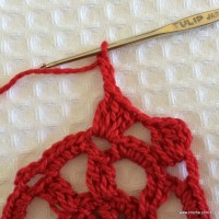 Flor hibisco passo a passo (33)