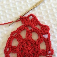 Flor hibisco passo a passo (34)