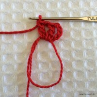 Flor hibisco passo a passo (5)