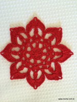 Flor hibisco passo a passo (72)