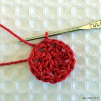 Flor hibisco passo a passo (8)