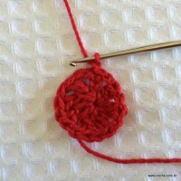 Flor hibisco passo a passo (9)