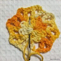 Flor margarida bicuda passo a passo - www.croche.com (10)