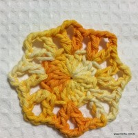 Flor margarida bicuda passo a passo - www.croche.com (11)