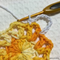 Flor margarida bicuda passo a passo - www.croche.com (14)