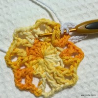 Flor margarida bicuda passo a passo - www.croche.com (15)