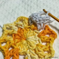 Flor margarida bicuda passo a passo - www.croche.com (17)