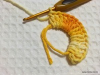 Flor margarida bicuda passo a passo - www.croche.com (2)