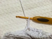 Flor margarida bicuda passo a passo - www.croche.com (36)