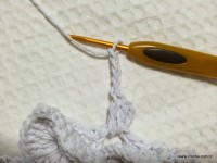 Flor margarida bicuda passo a passo - www.croche.com (37)