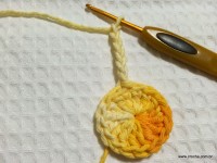 Flor margarida bicuda passo a passo - www.croche.com (4)