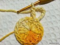 Flor margarida bicuda passo a passo - www.croche.com (5)