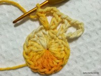 Flor margarida bicuda passo a passo - www.croche.com (6)