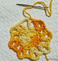 Flor margarida bicuda passo a passo - www.croche.com (8)