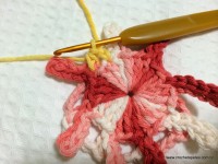 Flor margarida rasteira em crochê (25)