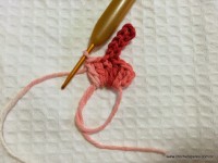 Flor margarida rasteira em crochê (8)