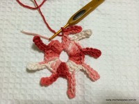 Flor margarida rasteira em crochê (9)