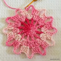 Flor para cortina e manta - www.croche.cpm (26)