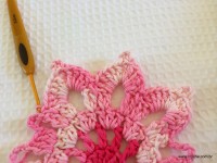 Flor para cortina e manta - www.croche.cpm (35)