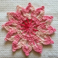 Flor para cortina e manta - www.croche.cpm (38)