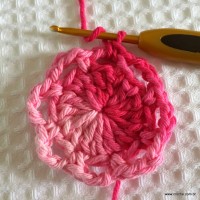 Flor roseta passo a passo - www.croche.com (13)