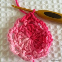Flor roseta passo a passo - www.croche.com (14)