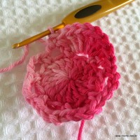Flor roseta passo a passo - www.croche.com (16)